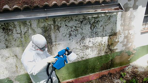 Top rated local Mold Remediation specialists in Millersburg, PA